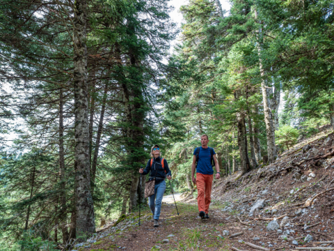 πεζοπορια-εθνικος-δρυμος-παρνασσος-hiking-parnassos-greece-αραχωβα (9)