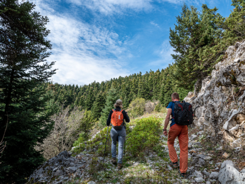 πεζοπορια-εθνικος-δρυμος-παρνασσος-hiking-parnassos-greece-αραχωβα (13)