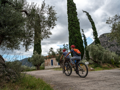 βολτα ποδηλατα-παρνασσοσ-mountain-bike-tour-greece (8)