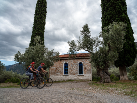 βολτα ποδηλατα-παρνασσοσ-mountain-bike-tour-greece (9)