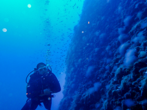 discover-scuba-diving-toroni-halkida-greece (3)