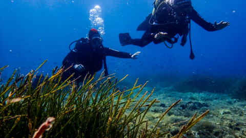 Diving Courses Toroni Halkidiki