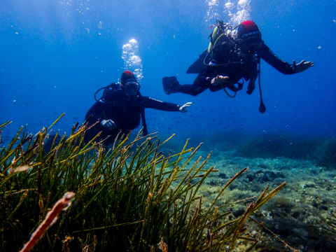 discover-scuba-diving-toroni-halkida-greece (4)