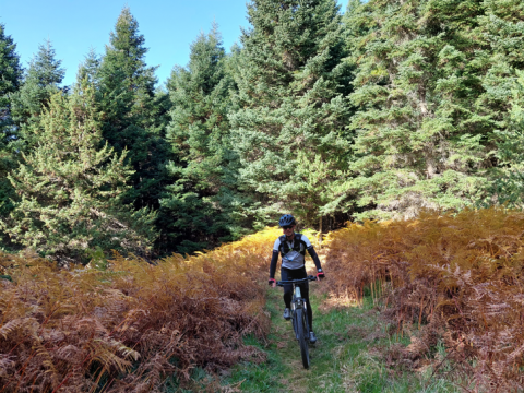 βολτα-ηλετκρικα-ποδηλατα-ebike-tour-nafpaktoanoxora (1)