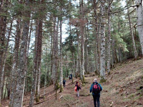 pezoporia-ορεινη-ναυπακτιαhiking-nafpaktos (4)