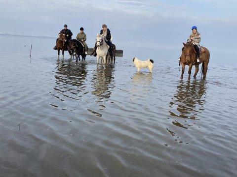 horse-riding-kerkini-lake-greece-ιππασια-αλογα-κερκινη-λιμνη (1)