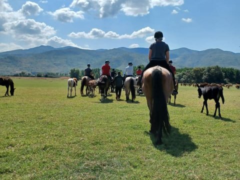 horse-riding-kerkini-lake-greece-ιππασια-αλογα-κερκινη-λιμνη (2)