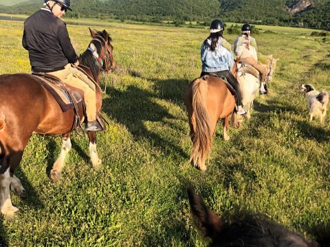 horse-riding-kerkini-lake-greece-ιππασια-αλογα-κερκινη-λιμνη (3)