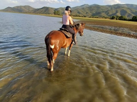 horse-riding-kerkini-lake-greece-ιππασια-αλογα-κερκινη-λιμνη (4)