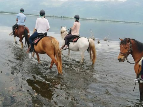 horse-riding-kerkini-lake-greece-ιππασια-αλογα-κερκινη-λιμνη (5)