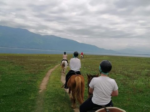 horse-riding-kerkini-lake-greece-ιππασια-αλογα-κερκινη-λιμνη (6)