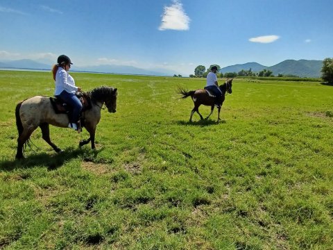 horse-riding-kerkini-lake-greece-ιππασια-αλογα-κερκινη-λιμνη (10)
