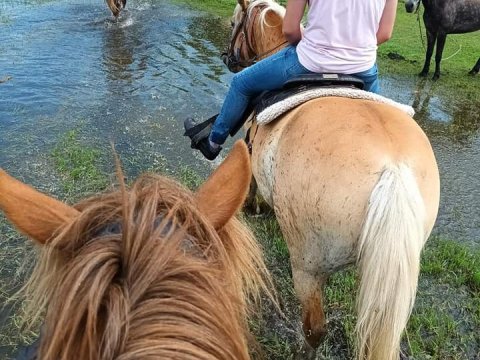 horse-riding-kerkini-lake-greece-ιππασια-αλογα-κερκινη-λιμνη (11)