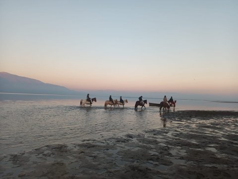 horse-riding-kerkini-lake-greece-ιππασια-αλογα-κερκινη-λιμνη (12)