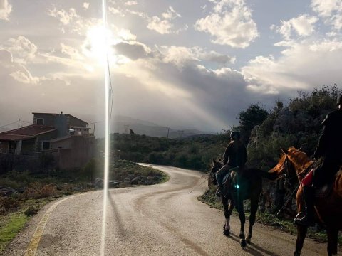 horse-riding-chania-creta-greece-ιππασια-αλογα-βολτα (1)