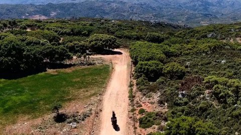 horse-riding-chania-creta-greece-ιππασια-αλογα-βολτα (2)