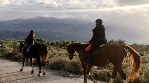 horse-riding-chania-creta-greece-ιππασια-αλογα-βολτα (3)