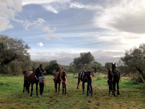 horse-riding-chania-creta-greece-ιππασια-αλογα-βολτα (5)
