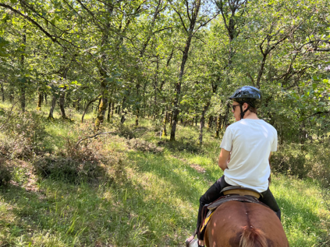 horse-riding-meteora-ιππασια-βολτα-αλογα μετεωρα-greece (6)