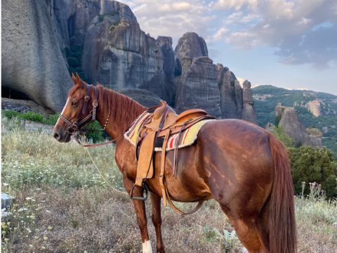 horse-riding-meteora-ιππασια-βολτα-αλογα μετεωρα-greece (10)