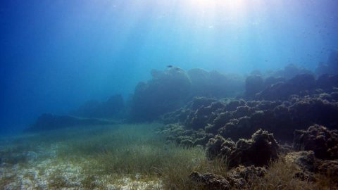 scuba-diving-kassandra-halkidiki-greece (1)