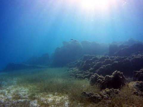 scuba-diving-kassandra-halkidiki-greece (1)