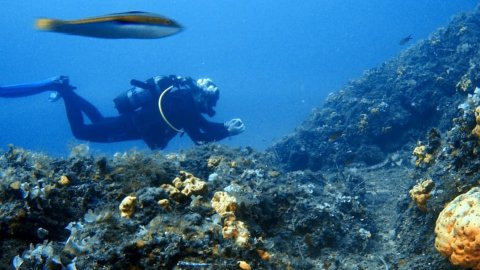 scuba-diving-kassandra-halkidiki-greece (6)