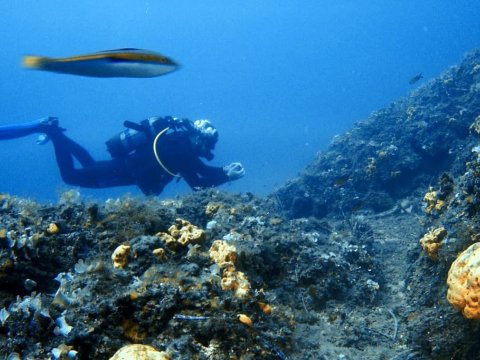 scuba-diving-kassandra-halkidiki-greece (6)