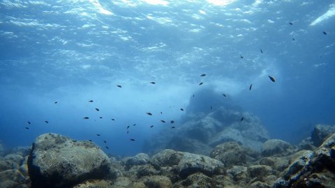 scuba-diving-kassandra-halkidiki-greece (7)