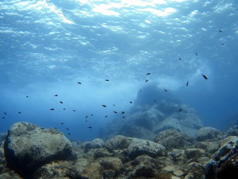 scuba-diving-kassandra-halkidiki-greece (7)