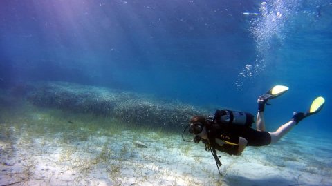 scuba-diving-kassandra-halkidiki-greece (8)
