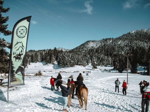 ιππασια-βολτα-με-αλογα-περτουλι-horse-riding-pertouli-greece (2)