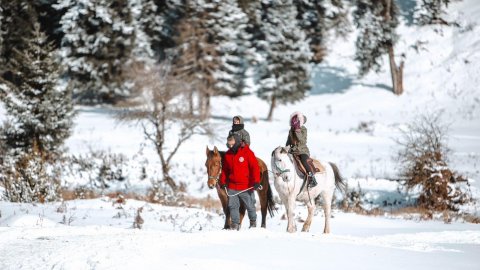 ιππασια-βολτα-με-αλογα-περτουλι-horse-riding-pertouli-greece (3)