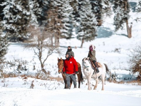 ιππασια-βολτα-με-αλογα-περτουλι-horse-riding-pertouli-greece (3)