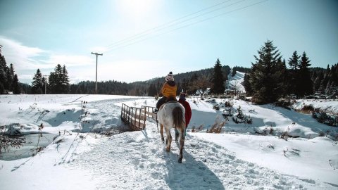 ιππασια-βολτα-με-αλογα-περτουλι-horse-riding-pertouli-greece (4)