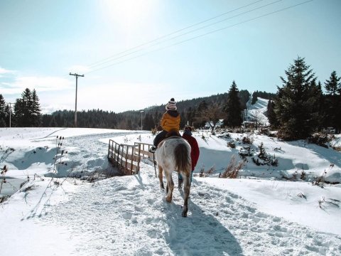 ιππασια-βολτα-με-αλογα-περτουλι-horse-riding-pertouli-greece (4)