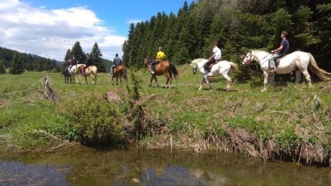 ιππασια-βολτα-με-αλογα-περτουλι-horse-riding-pertouli-greece (5)