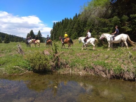 ιππασια-βολτα-με-αλογα-περτουλι-horse-riding-pertouli-greece (5)