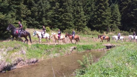 ιππασια-βολτα-με-αλογα-περτουλι-horse-riding-pertouli-greece (6)