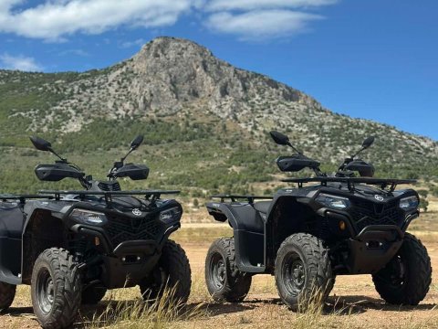 γουρουνες-αθηνα-αττικη-atv-tour-athens-attica-greece (2)