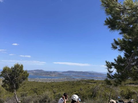 γουρουνες-αθηνα-αττικη-atv-tour-athens-attica-greece (4)