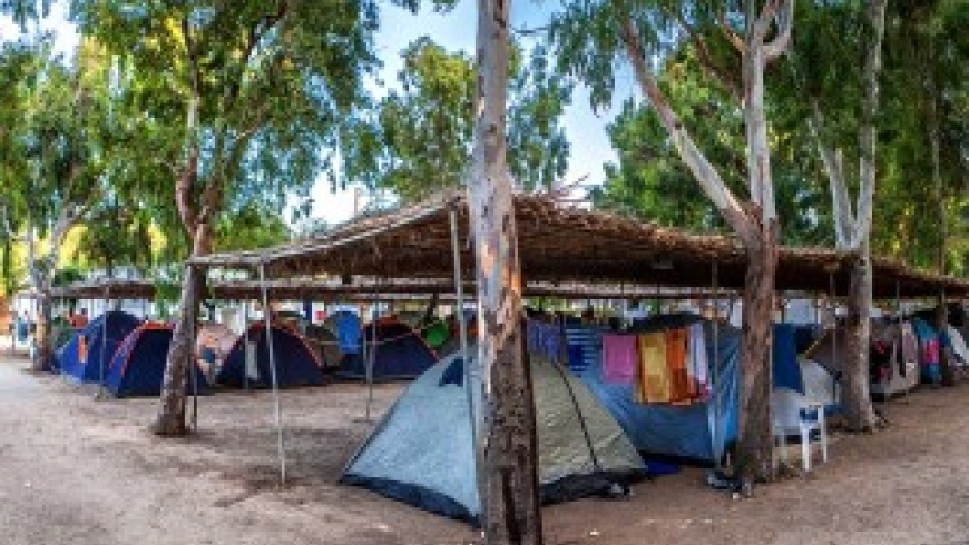 camping-320x214