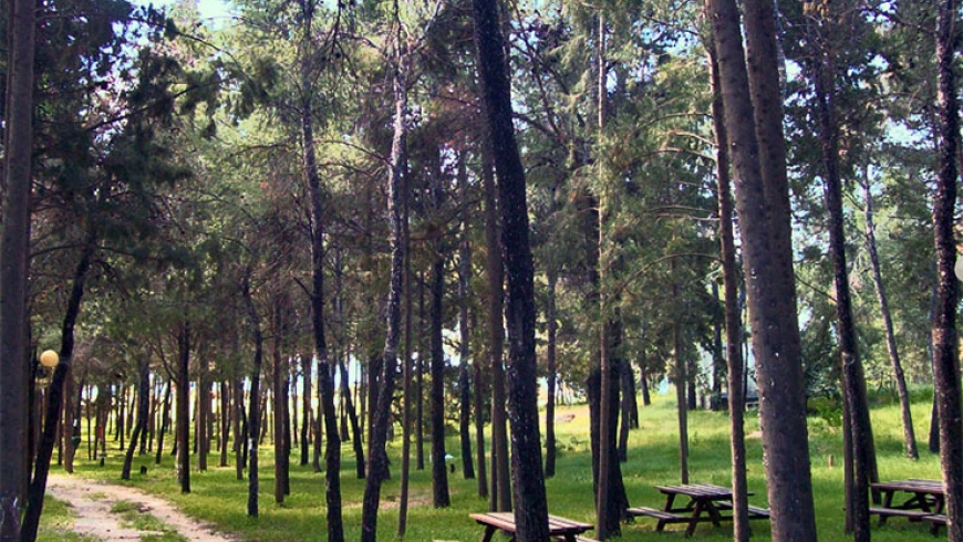 camping-kythira2
