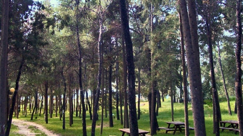 camping-kythira2