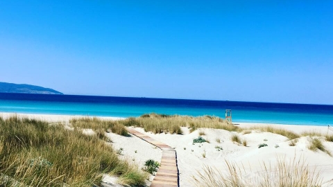 Ελαφόνησος Camping