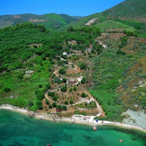 Tartaruga Camping