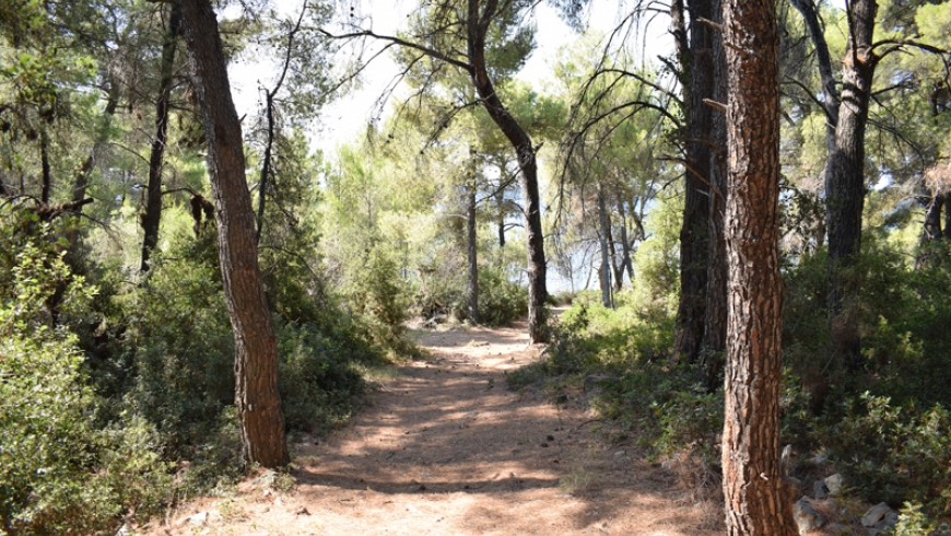 campingrocks16