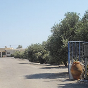 Camping Κουτσουνάρι