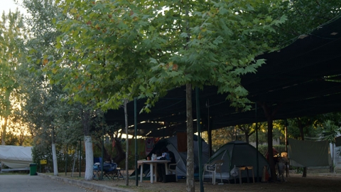 Camping Ερέτρεια Εύβοια