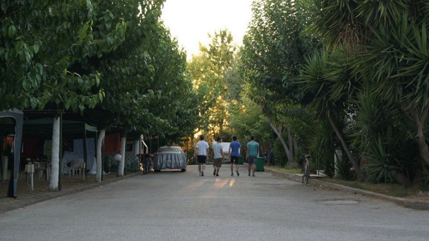 milos-camping-in-evia-xoros-1